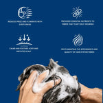 Texture Restore Shampoo
